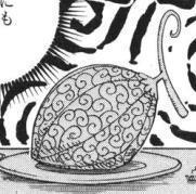 アワアワの実01.jpg