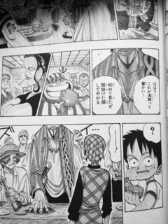 ゴムゴムの実02.jpg